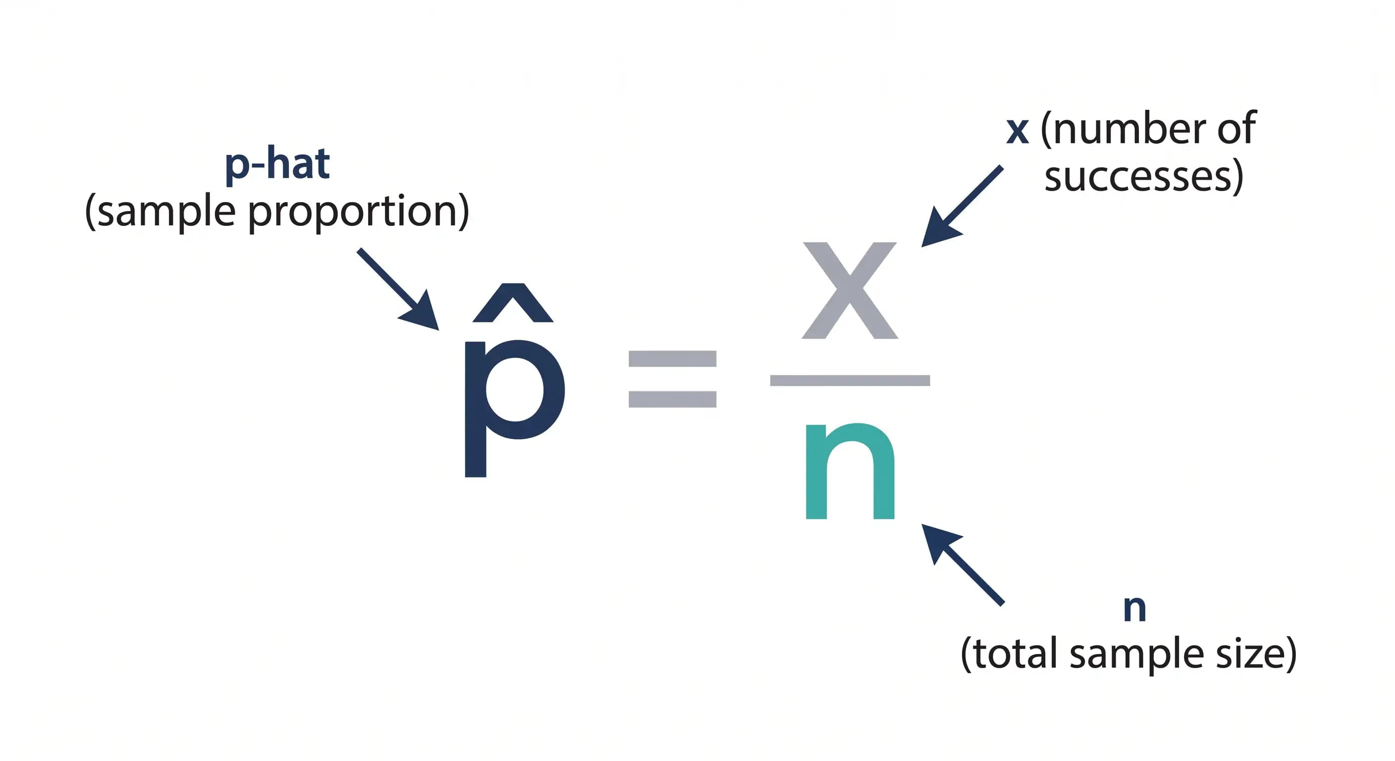 Infographic breaking down the p-hat calculator formula showing x divided by n.